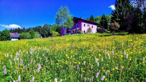 Ferienwohnung für 2 Personen ca 40 m in Neureichenau, Bayerischer Wald